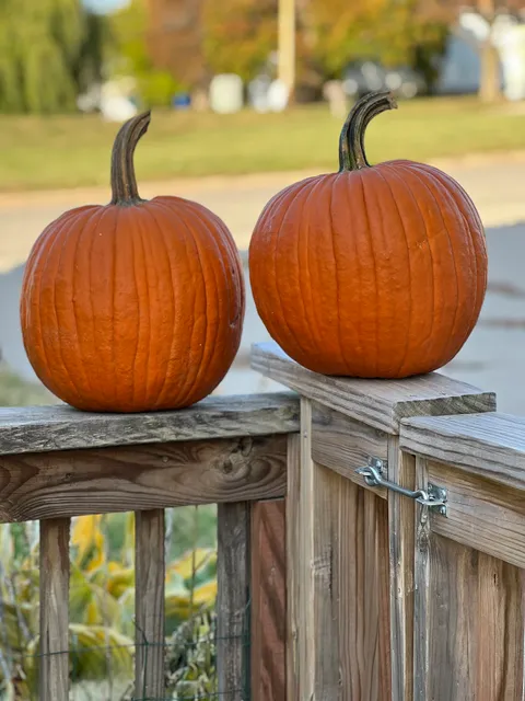 Viroqua Farmer's Market