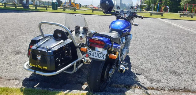 Victoria Park Playground