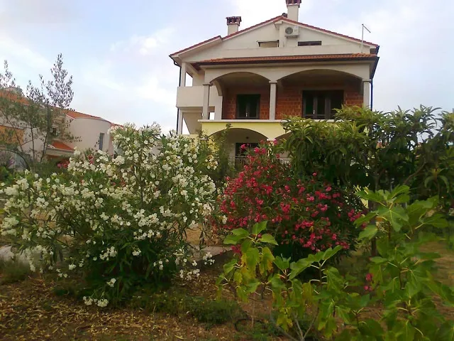 APARTMANI I SOBE MARKOVIĆ