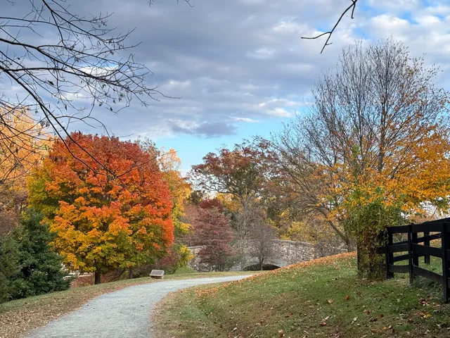 Saunders-Monticello Trail & Kemper Park Parking lot