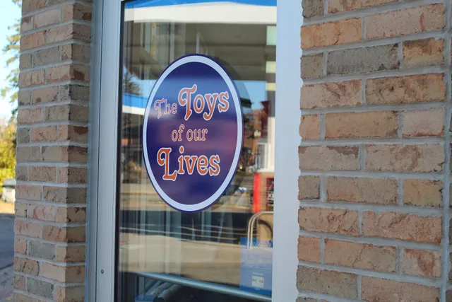 The Toys Of Our Lives