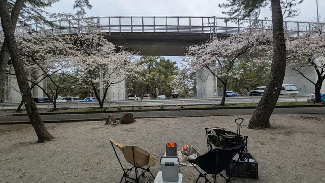 Tanezakisenmatsu Park Camping Ground