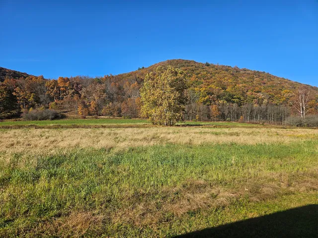 Hicks Run Wildlife Viewing Area