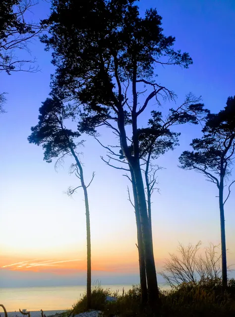 Ferienwohnung Stranddiestel