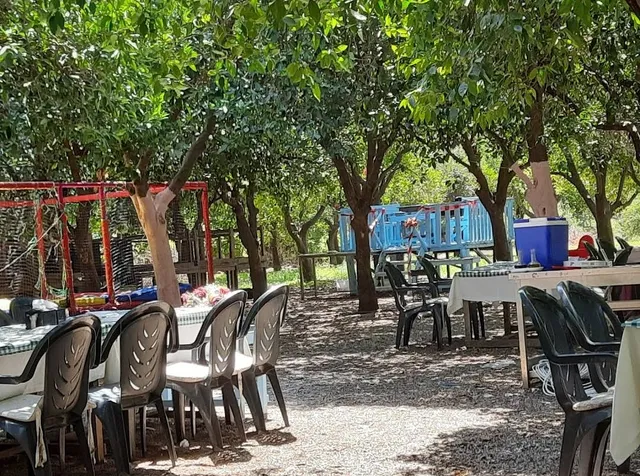 Han Holding Restaurant