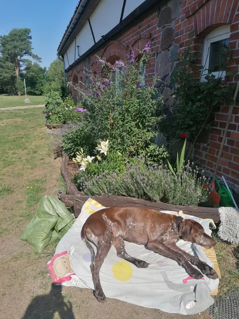 Agrartouristik Agroturystyka - Kolonia Pilchy... gdzie diabeł mówi dobranoc,