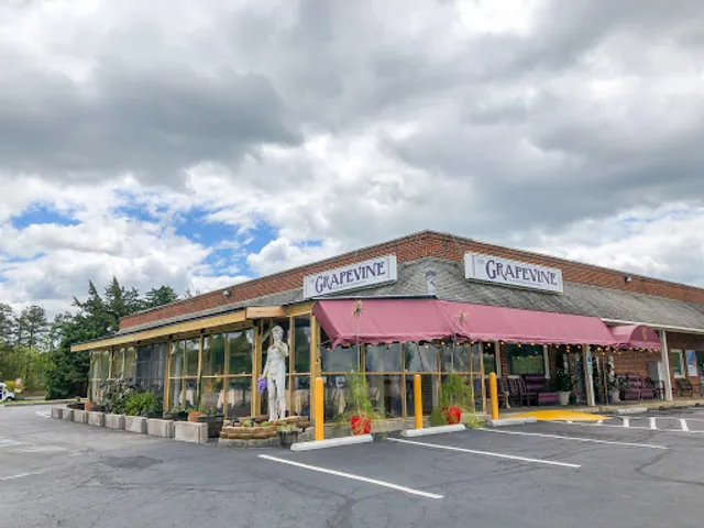 The Grapevine Greek & Italian Restaurant