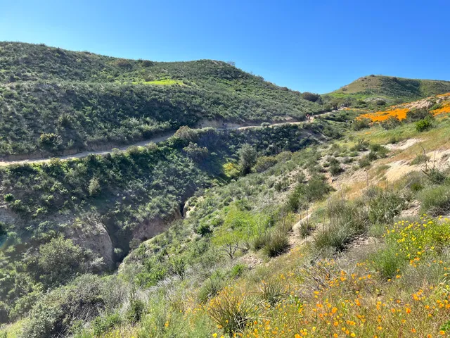 Anaheim Hills Riding and Walking Trail