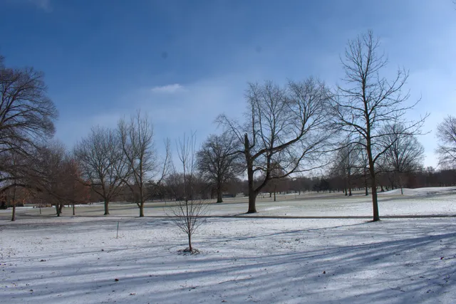 Foster Park Play Ground