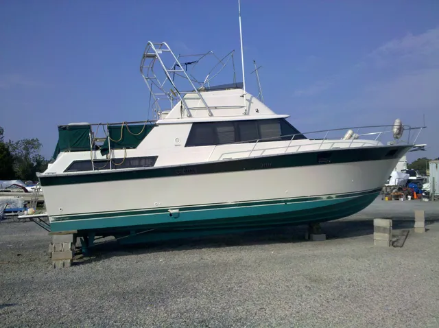 Boat Sales & Service