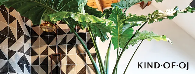 K•O•OJ - Kind Of OJ