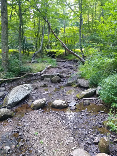 Peaks of Otter Picnic Area