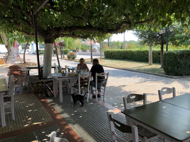 Οι Μουριές Του Πόντιου