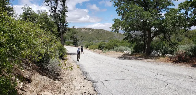 Pacific Crest Trail I-10 Access Point