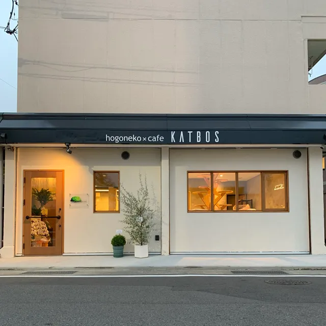hogoneko×cafe KATBOS