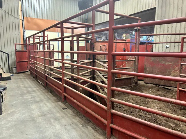 The New Gainesville Livestock Auction