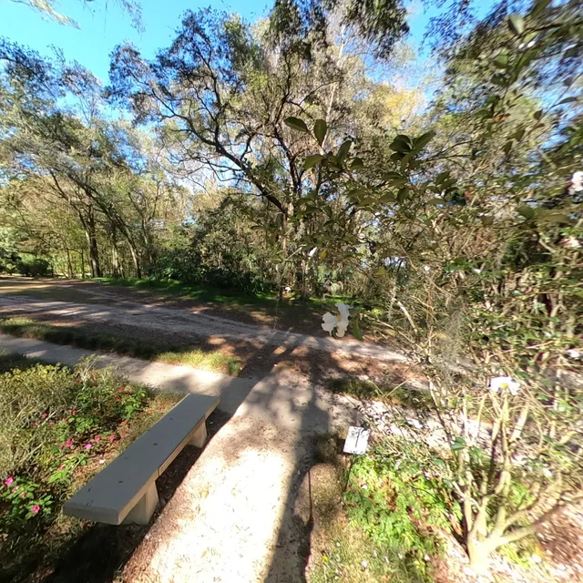 Kanapaha Botanical Gardens