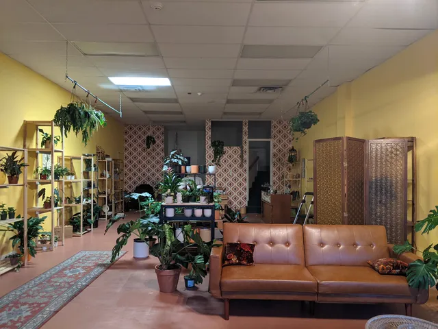 Iron Rose Plants and Vintage