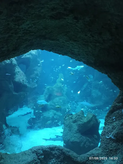 Aquarium