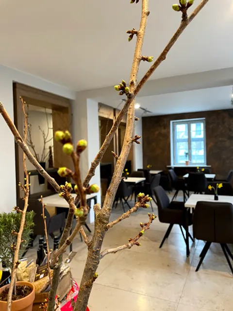 Natürlich Büttners