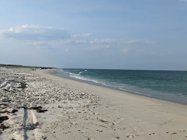 Island Beach State Park