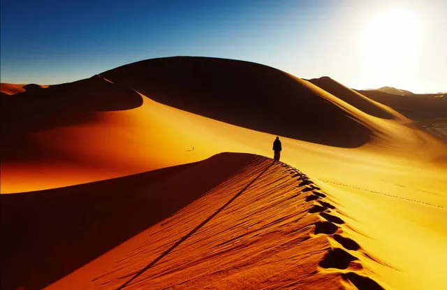 Algerian Desert