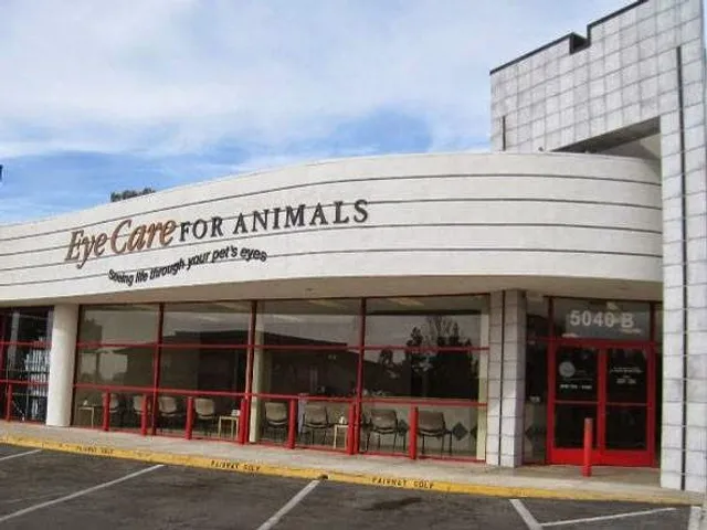 Eye Care for Animals - San Diego