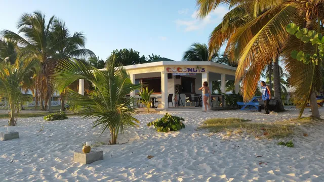 Coconuts Beachbar And Grill