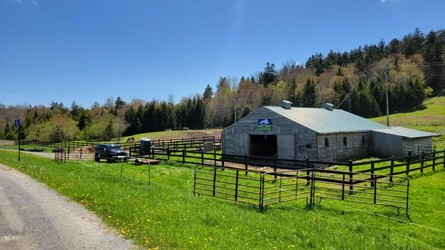 Autumn Breeze Stables