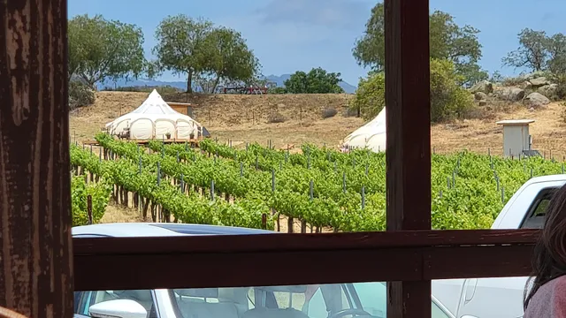 Edwards Vineyard & Cellars