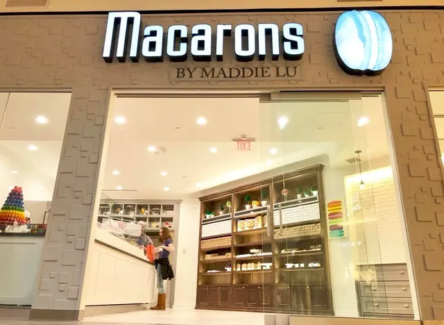 Macarons By Maddie Lu