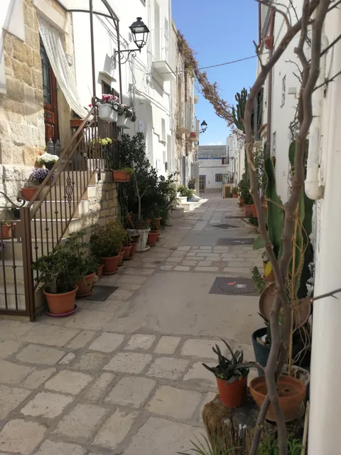 Welcome Holiday House