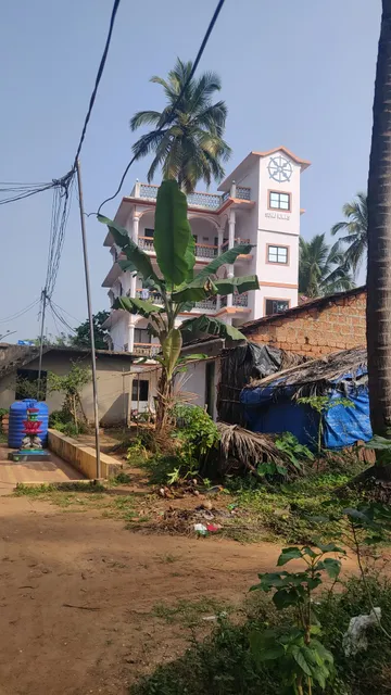 The White House Arambol