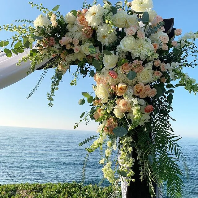 Emerald & Ivy Plant Boutique and Event Florals