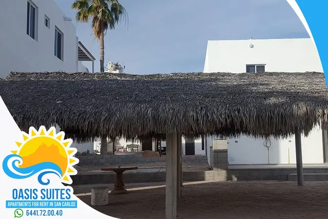 Casa Oasis, San Carlos #131 #223 #224