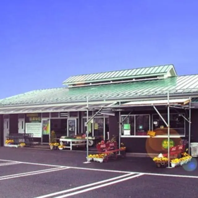 Sano Tourist Farm Strawberry Field Agritown