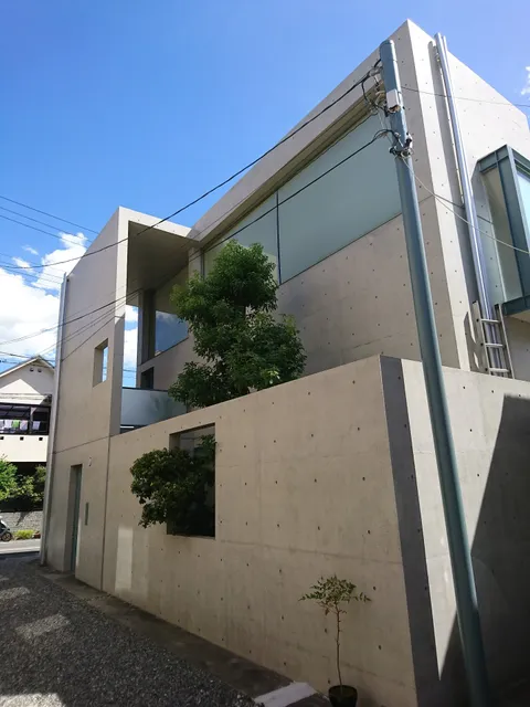 ギャラリー小さい芽