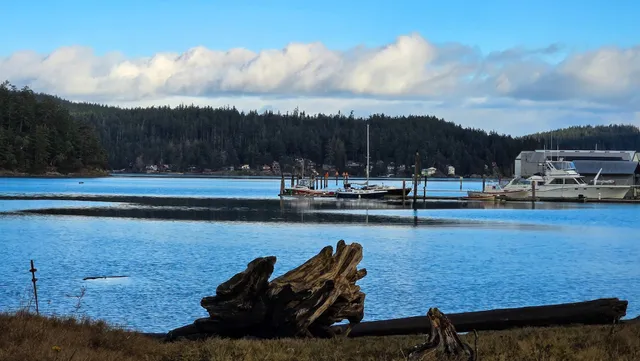 Cornet Bay County Park