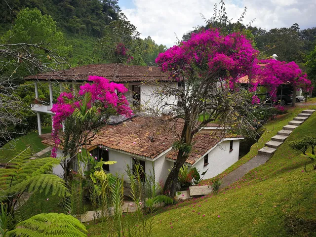 Hotel Posada Don Francisco
