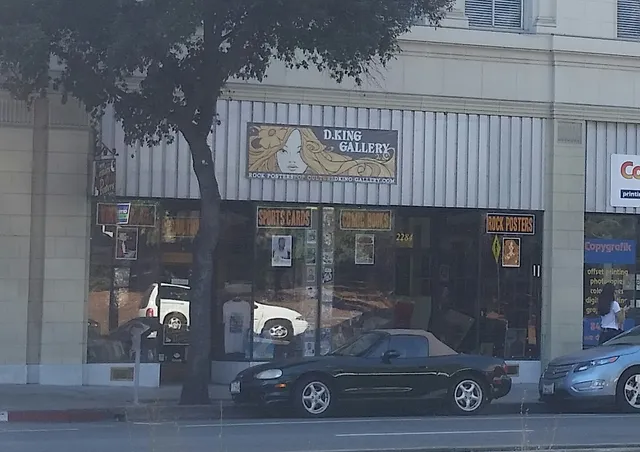 D King Gallery Rock Posters