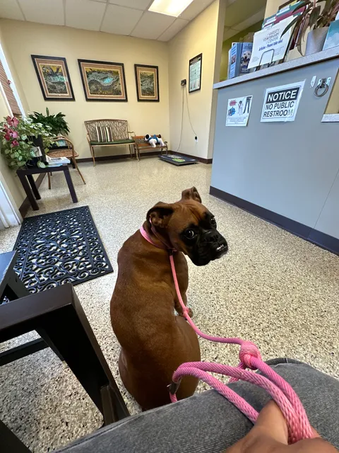 Varsity Veterinary Center