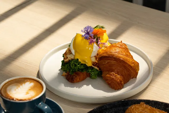 Redstone & Projects Co Warringah Mall