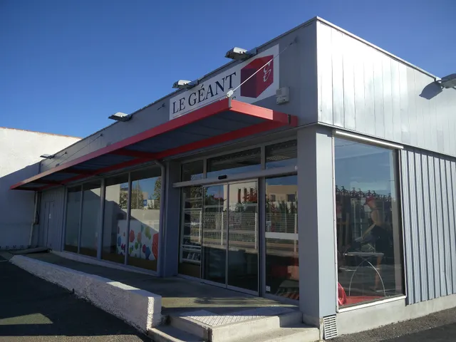 Le Géant des Beaux-Arts Montpellier