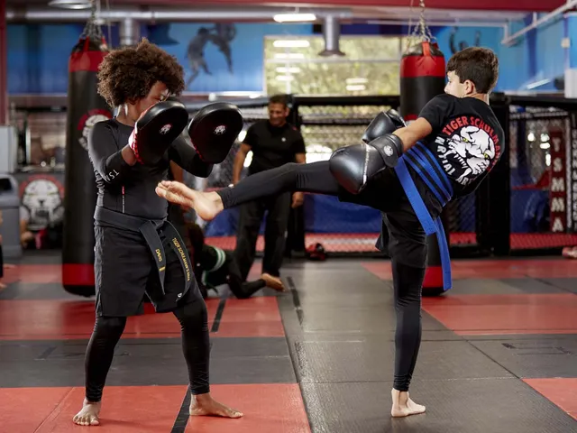 Tiger Schulmann's Martial Arts (Upper East Side, Manhattan, NY)