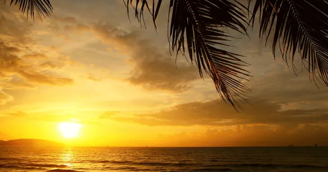 El Sirocco Apartments Mogan