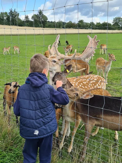 Gästehaus Fichtelgebirgsblick - Siegfried & Margitte Böhmer GbR