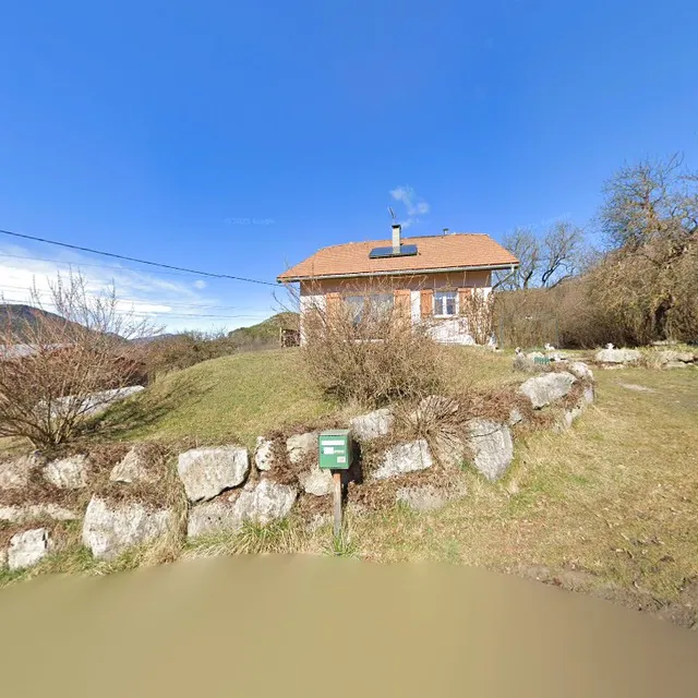 Les Nids De Mésanges