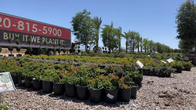 Moon Valley Nurseries