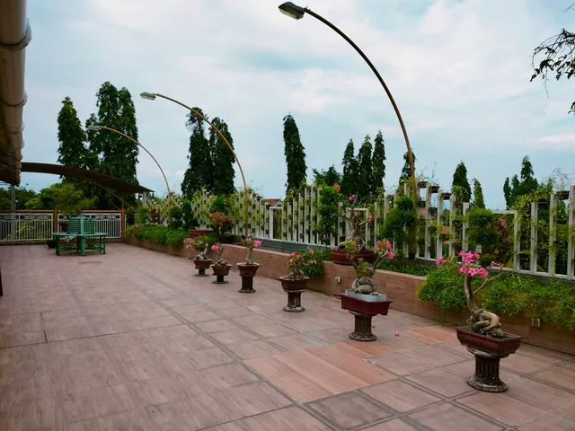 Sun Flower Guest House