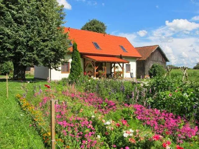 Agrotourism GREEN GROVE